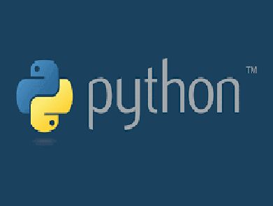 python interpreter